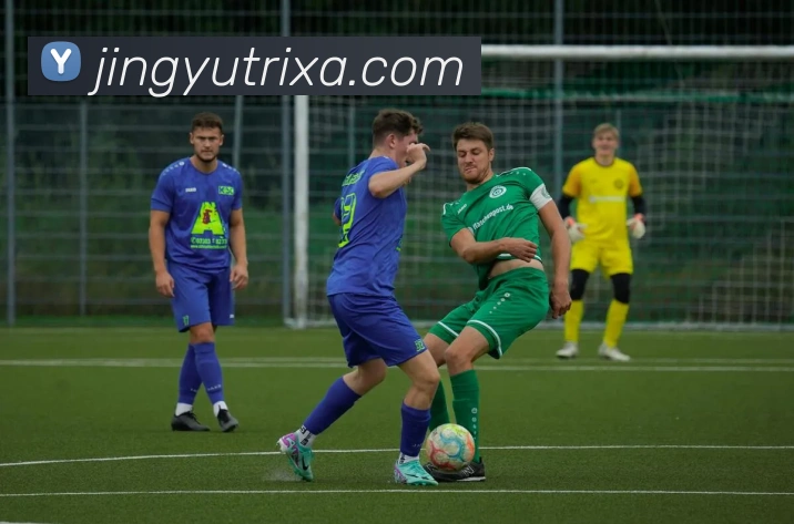 App Interface Preview