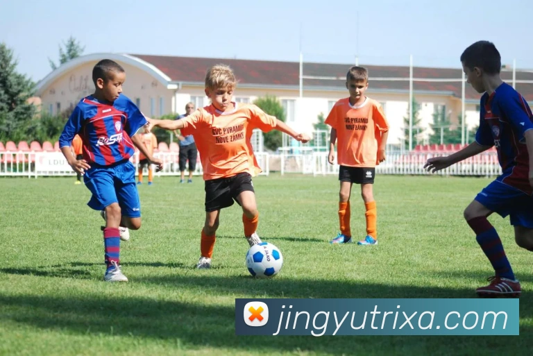 鲸鱼体育APP 封面图